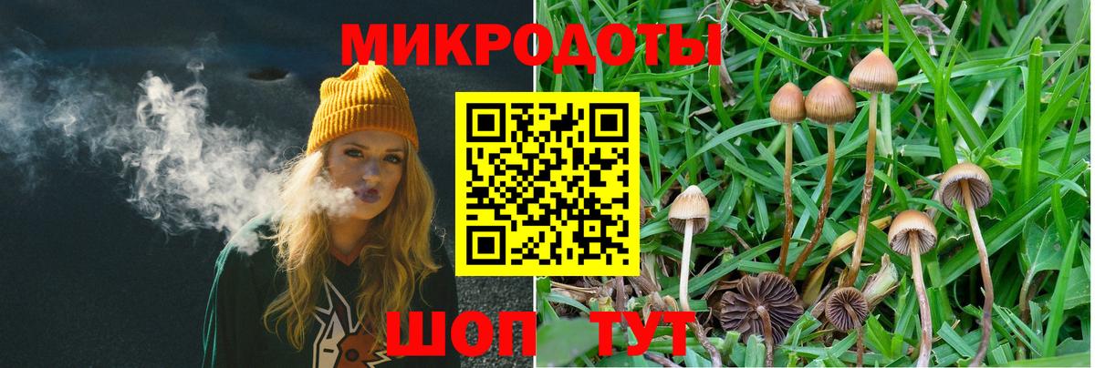 Галлюциногенные грибы GOLDEN TEACHER Солнечногорск