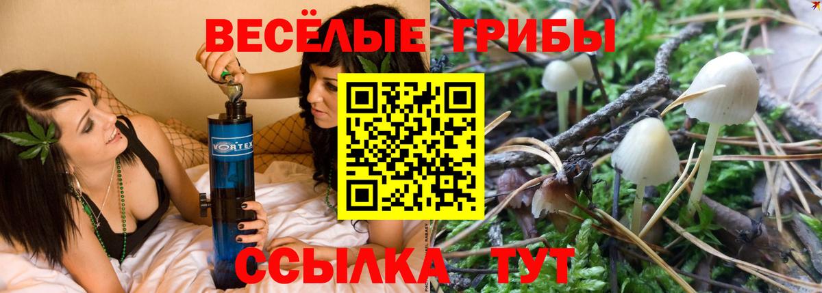 Псилоцибиновые грибы ЛСД  Вход с VPN  Галлюциногенные грибы Cubensis  Солнечногорск 